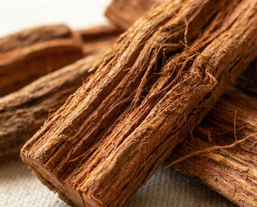 Close-up of borututu barks on a textured surface.