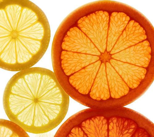 Close-up of sliced citrus fruits including oranges, lemons, and grapefruits, arranged in a circular composition